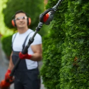 Une pelouse bien tondue est le résultat de nos services d'entretien de jardins. Faites confiance à notre équipe pour une tonte parfaite dans le département 44.