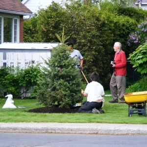 Une clôture bien posée par nos experts ajoute à la beauté de votre espace. Découvrez nos compétences en entretien des espaces verts dans le 44.